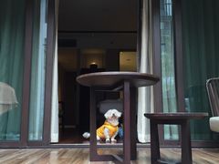 -上海崇明金茂凯悦酒店