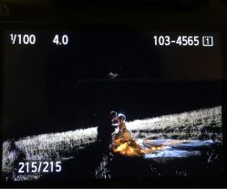 -费拉摄影(天廊T66店)