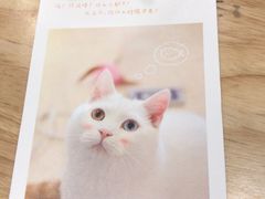 -猫的天空之城概念书店(苏州平江店)