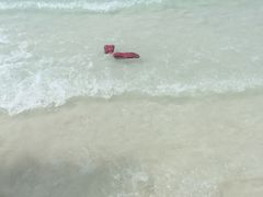 -白沙滩
