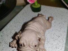 -光明招待所(邦凯科技园店)