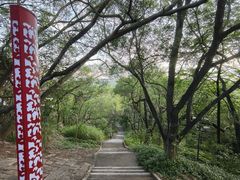 -紫马岭公园