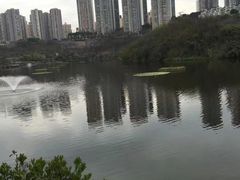 -重庆彩云湖湿地公园