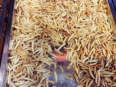 -昆虫窝子·特色云南菜(拓东路总店)