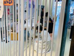 -藏猫猫咖啡主题馆(中央大道店)