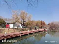 -贡湖湾湿地公园