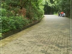 -滴水岩森林公园