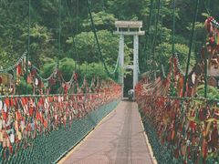 -西双版纳原始森林公园