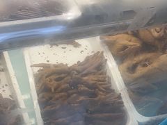 -紫光园清真北京小吃(广渠门内店)