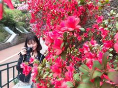 -九龙公园