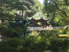 -申粤轩酒楼·三十年粤菜经典(丁香花园店)