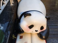 -轩客会(熊猫书店)