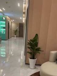 -木兰清颜医疗美容