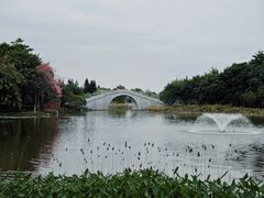 -映月湖公园