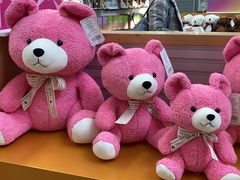 -济州岛泰迪熊博物馆