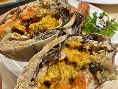 -杨氏青龙虾·羊蝎子(珠江路店)