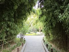 -习家池