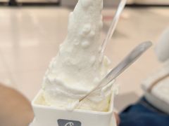 -野人先生Gelato(上海长宁龙之梦店)
