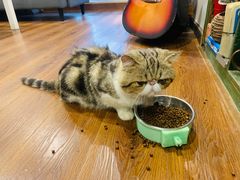 -参差咖啡(水果湖公园店)