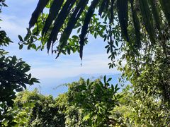 -七仙岭温泉国家森林公园