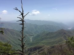-牛背梁国家森林公园