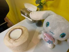 -志龙皇冠吃货椰子铺