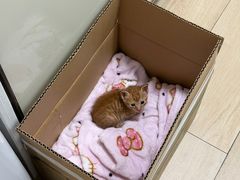 -御宝贝24h宠物医院·转诊中心·CT核磁血透中心(厦门总院)