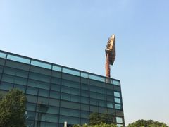 -江湾体育中心游泳馆