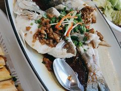 -新白鹿餐厅(城西银泰城店)