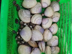 -后田海鲜餐厅(南澳香湖湾店)