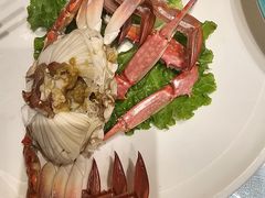 -大连湾旭日·家宴·海肠捞饭(马栏广场店)