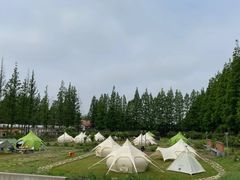 -前小桔亲子创意农场·草莓采摘·露营烧烤