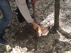 -众神白水涧景区