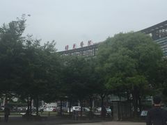 -上海中医药大学附属曙光医院(东部)