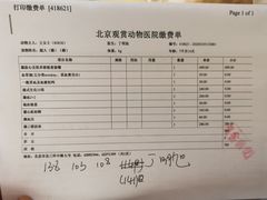-北京观赏动物医院·24小时大型综合·猫专科·异宠专科