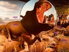 -陕西自然博物馆