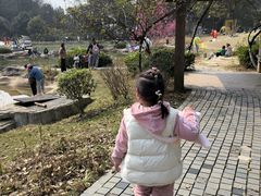 -铁山坪森林公园