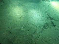 -白鹤梁水下博物馆