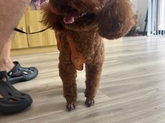-萌小它宠物健康管理中心(怡海家园店)