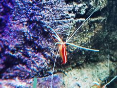 -沈阳海洋探索中心