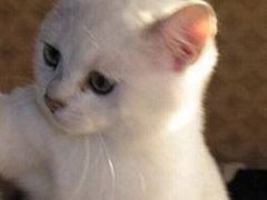 -赛纳河休闲商务会馆(天宁寺店)