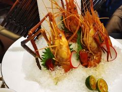 熟醉罗氏虾-人间采蜜(海信广场店)