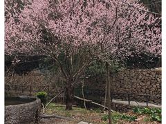 -太湖源风景区