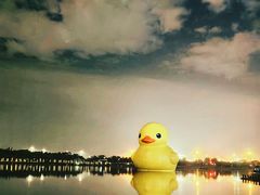 -深圳人才公园