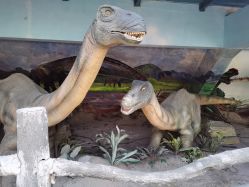 点击看大图 -宝燕乐园(闵行旗舰店)