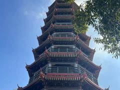 -红花山公园