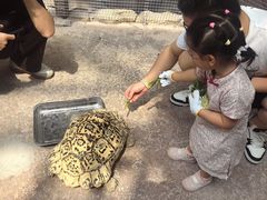 -杭州开元森泊度假乐园