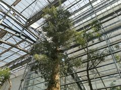 -南山植物园