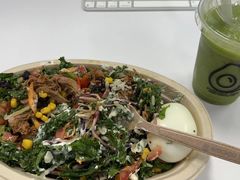 -油梨树AVOCADO TREE(嘉里中心店)