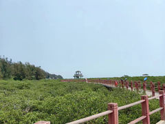 -北海金海湾红树林生态旅游区